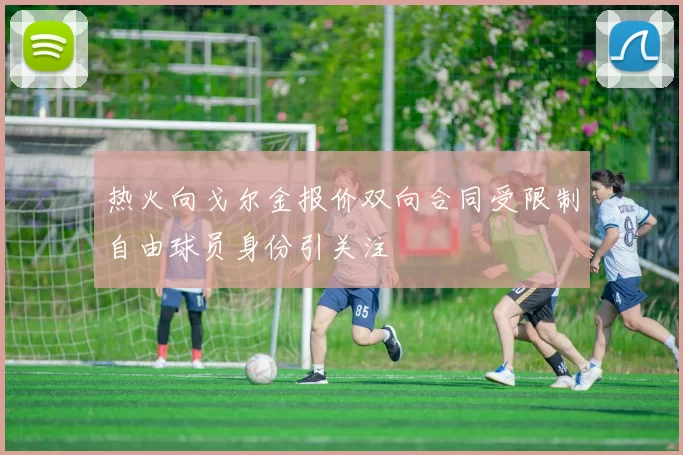 热火向戈尔金报价双向合同受限制自由球员身份引关注
